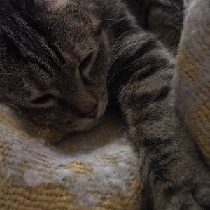 Meet your Posher, Christina